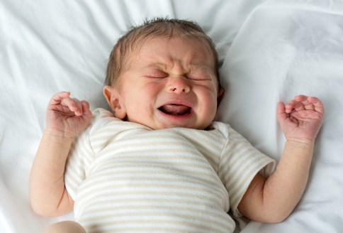 Human-Male-White-Newborn-Baby-Crying.jpg